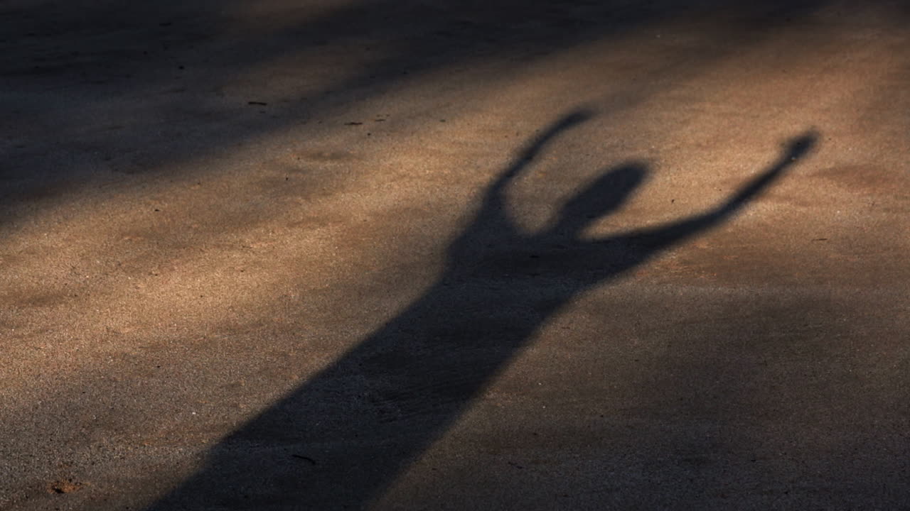 тень человека поднимает руки в знак торжества