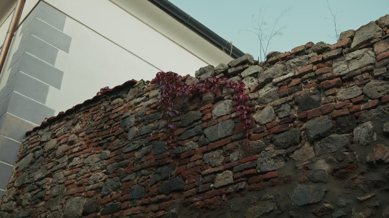 Old stone wall with mixed bricks and ivy vines adding a touch of nature in Bratislava