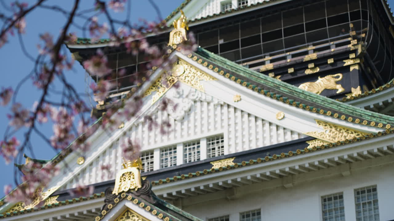 fotografía en cámara lenta de un árbol en flor que se balancea frente al castillo de osaka, japón