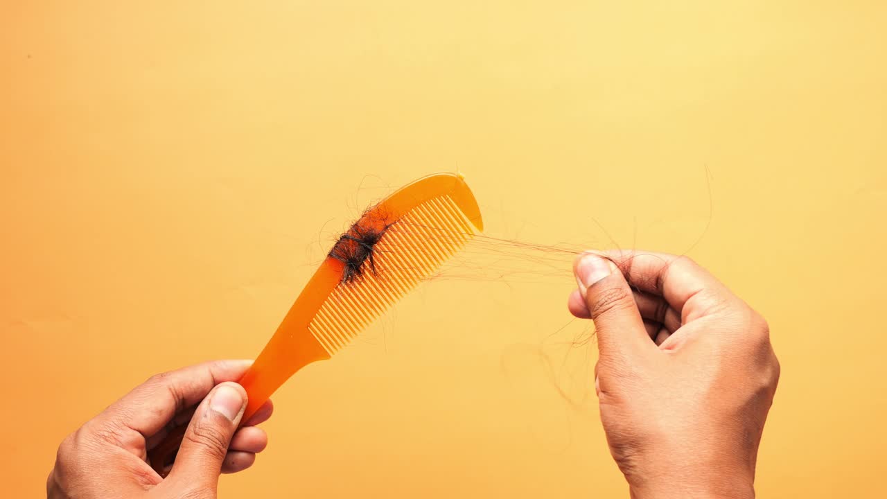 잃어버린 머리카락 을 가진 브러시