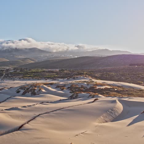 abstract aerial view of a beach and sea waves background in portugal