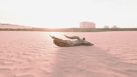 driftwood on a pink sand beach at sunrise