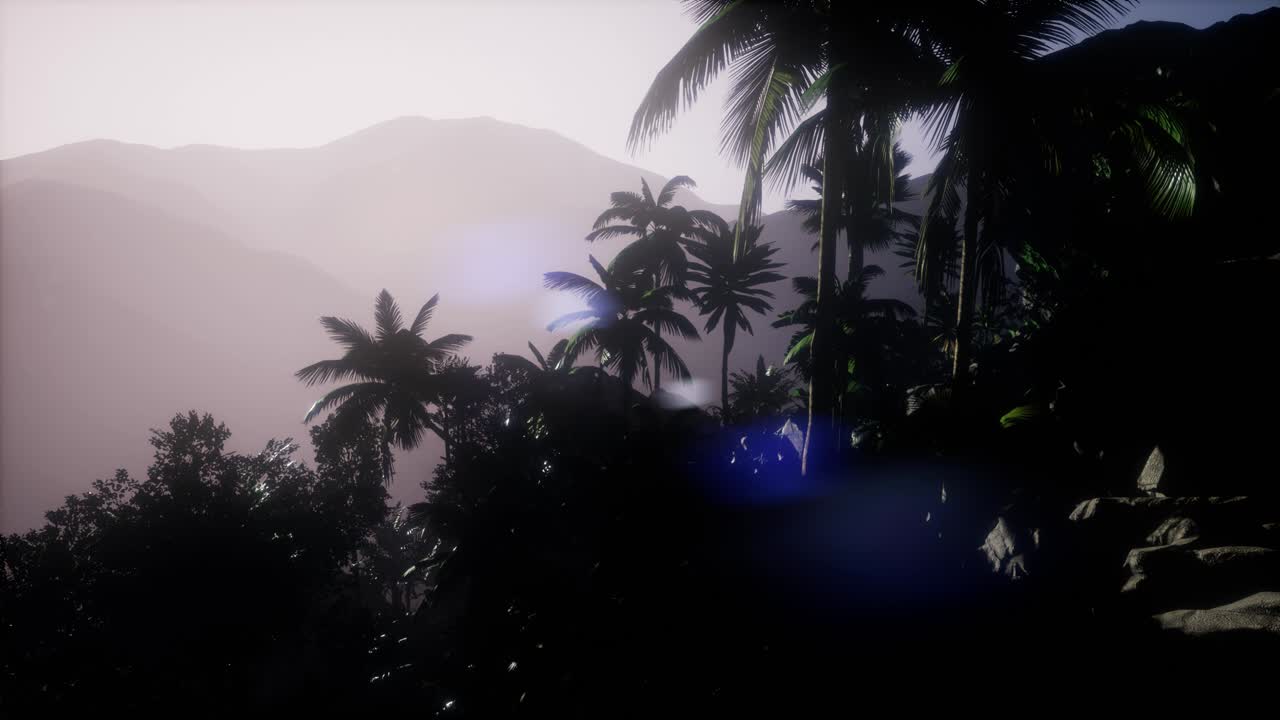 los rayos del atardecer a través de las palmeras