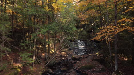 Ascendiendo-En-El-Río-De-Montaña-Y-Los-árboles-Del-Bosque-De-Otoño-En-El-Parque-Provincial-De-Algonquin-En-El-Sureste-De-Ontario,-Canadá