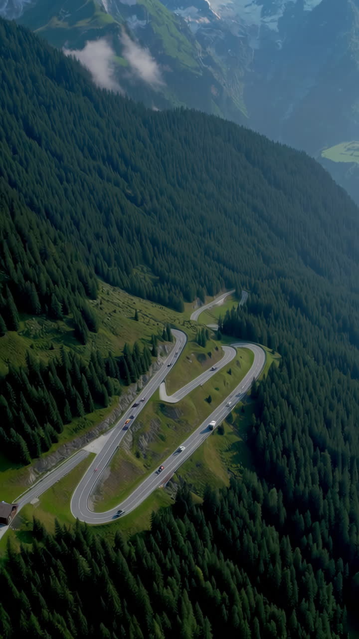 Serpentine Mountain Road through Alpine Forest
