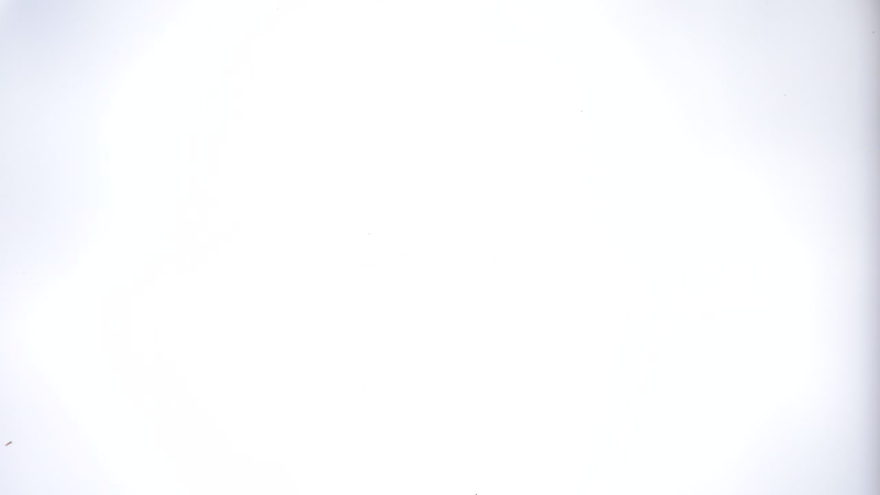 las avellanas en conchas caen sobre el vidrio sobre un fondo blanco brillante. vista inferior de cerca de las avellanas.