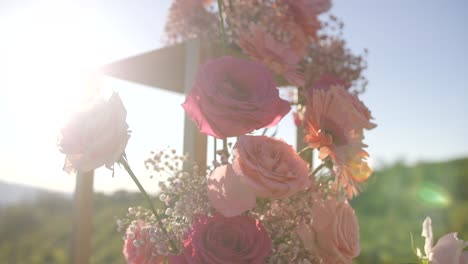 pink roses on golden wedding arch, dolly shot, sun flare shining, outdoor ceremony