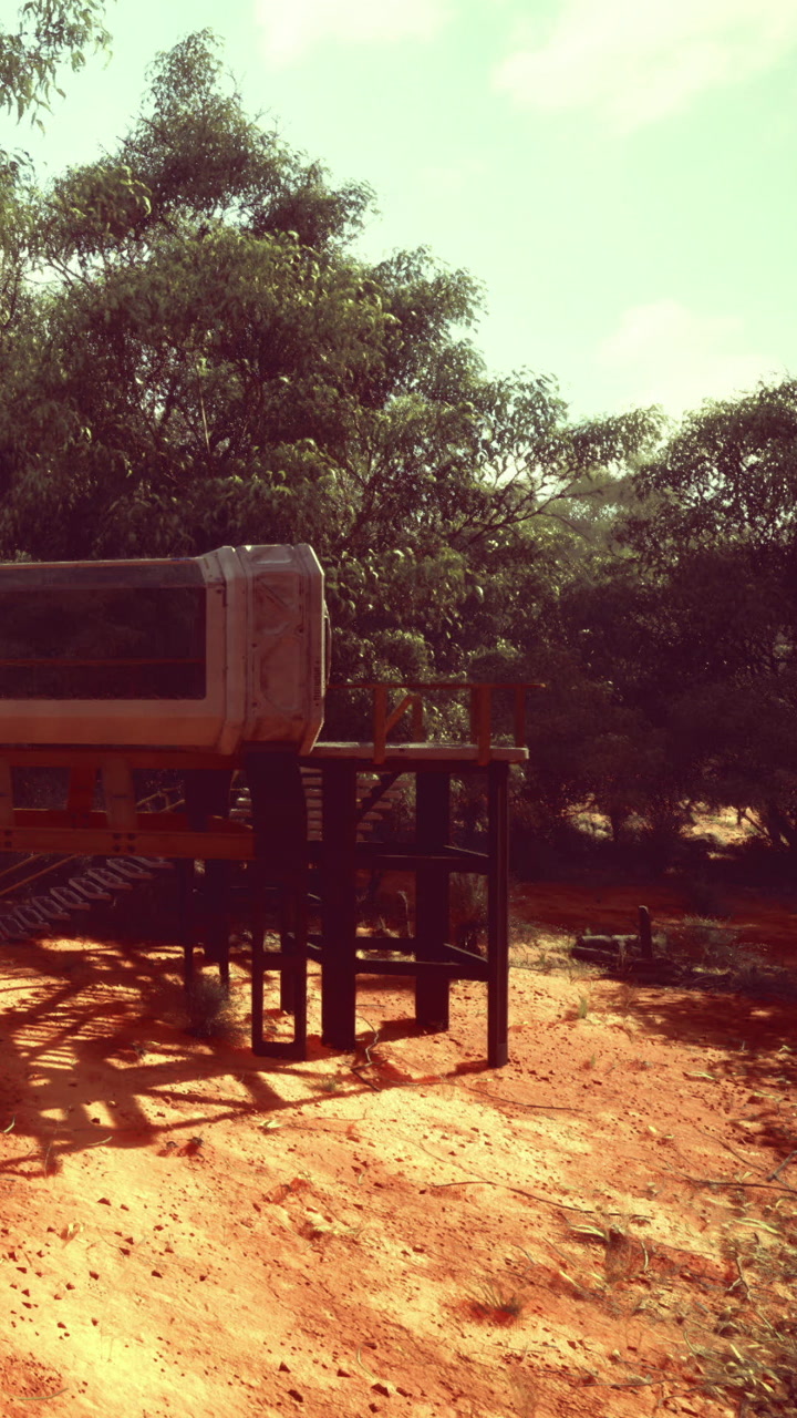 Construction of a structure in a wooded area during daylight hours