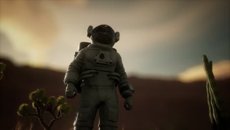astronauta en el alto desierto de nevada