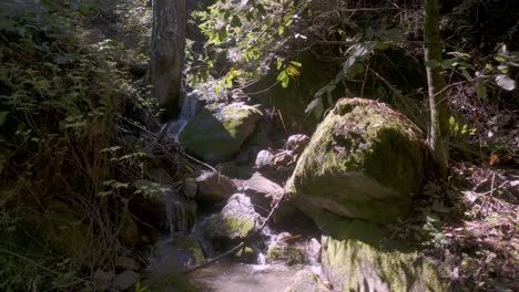 Sumérgete-En-La-Tranquilidad-De-La-Naturaleza-Con-Este-Fascinante-Video-En-Primer-Plano-De-Una-Pequeña-Cascada-Ubicada-Dentro-Del-Encantador-Bosque-De-Secuoyas-De-Las-Montañas-De-Santa-Cruz.