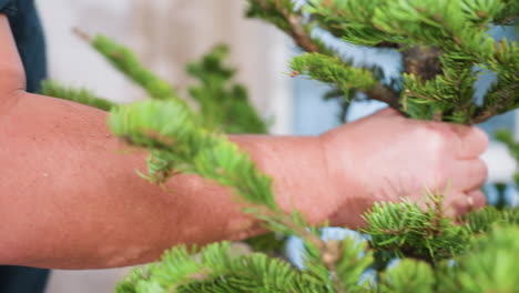 close view of hand holding artificial christmas tree with bright lighting, showcasing branches and setup in preparation for holiday decoration