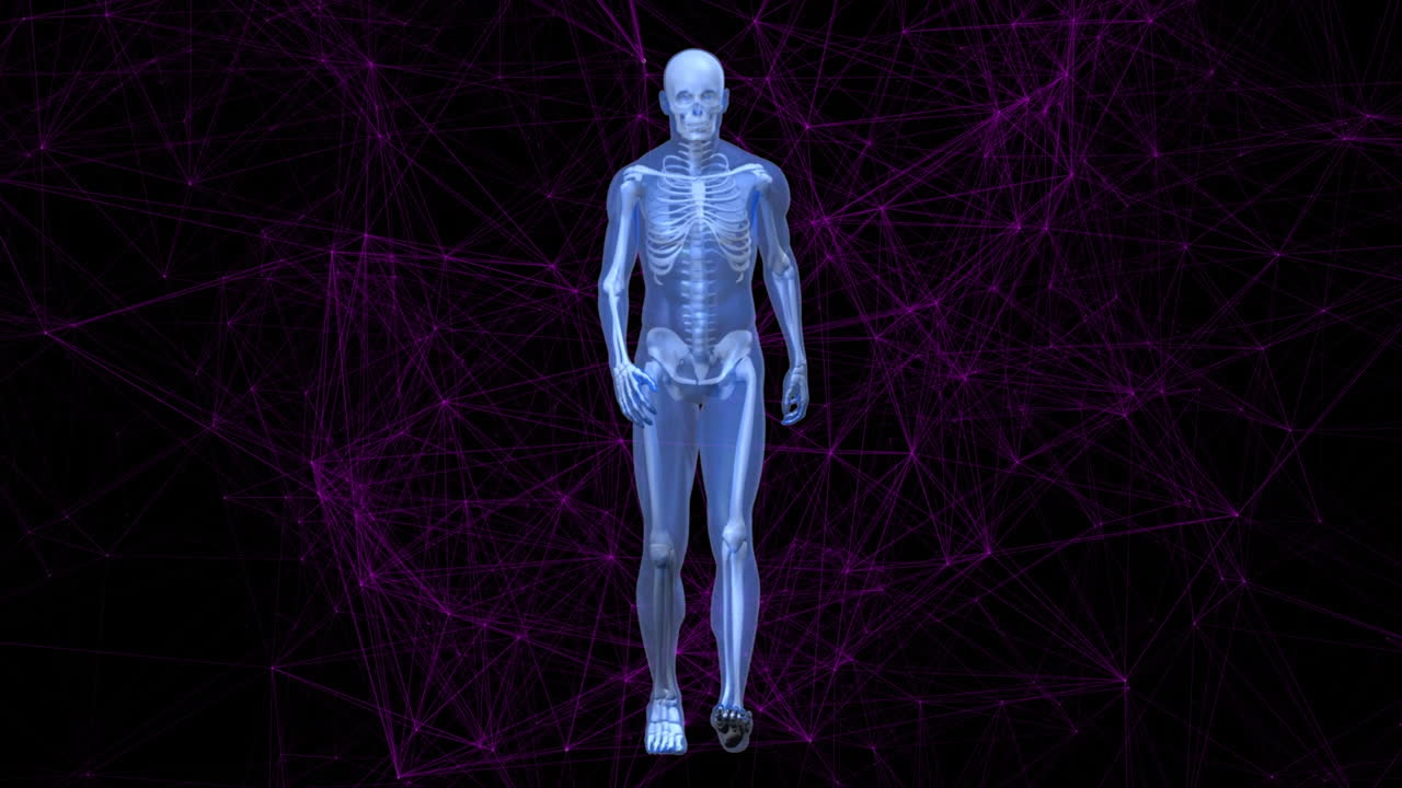 animación de la red de conexiones a través de humanos digitales