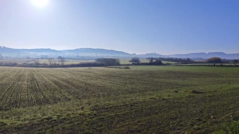 meadow-in-monturi-island-of-mallorca