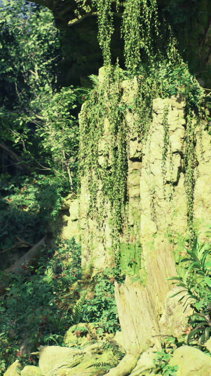 Lush greenery and rocky landscape in an untouched natural setting