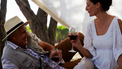 pareja brindando copas de vino 4k