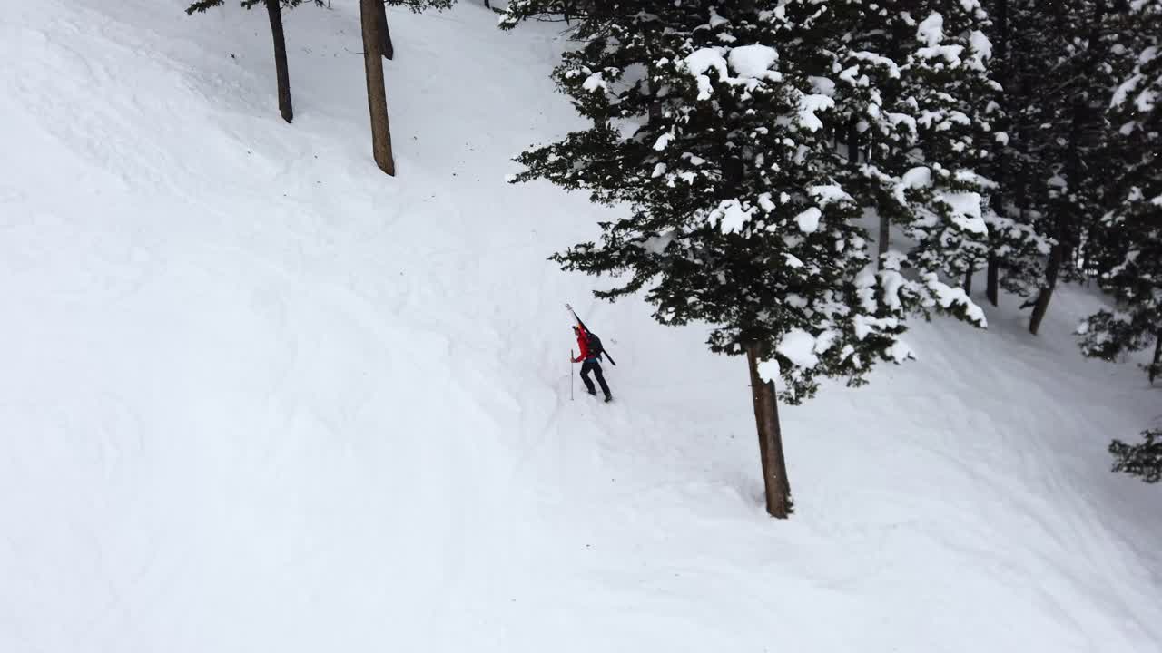 el esquiador sube una montaña con postes para ayudarlo en el paisaje nevado