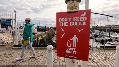 en un cartel que desalienta a las gaviotas a alimentarse