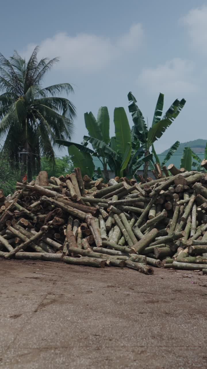 Pile of Firewood Logs