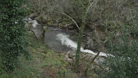 secluded river bend through green foliage
