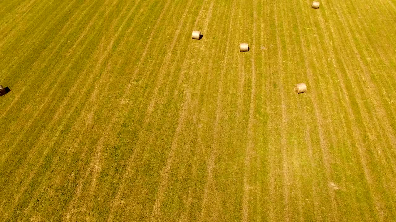 공중: 풀이 있는