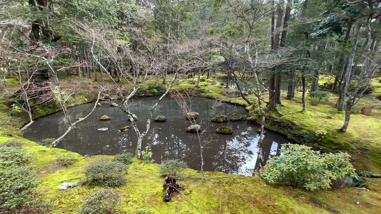 el exuberante musgo y el pequeño estanque en el templo de saihōji en kioto, japón