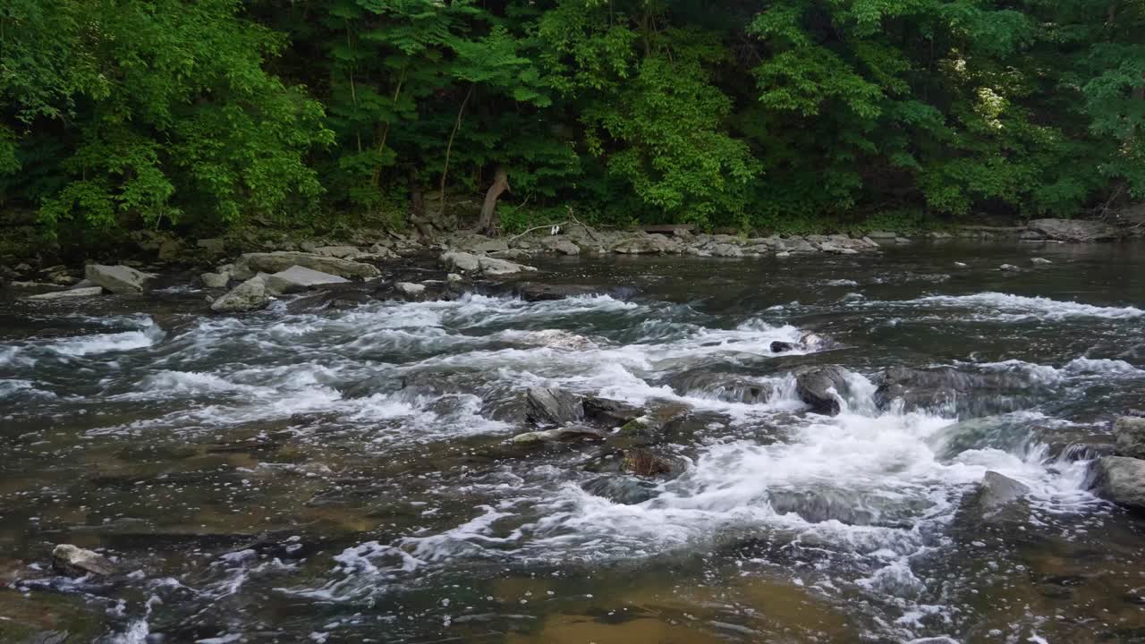 L'acqua scorre sulle pietre nel Wissahickon Creek.