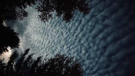 time lapse of cloud texture at night. vertical view.