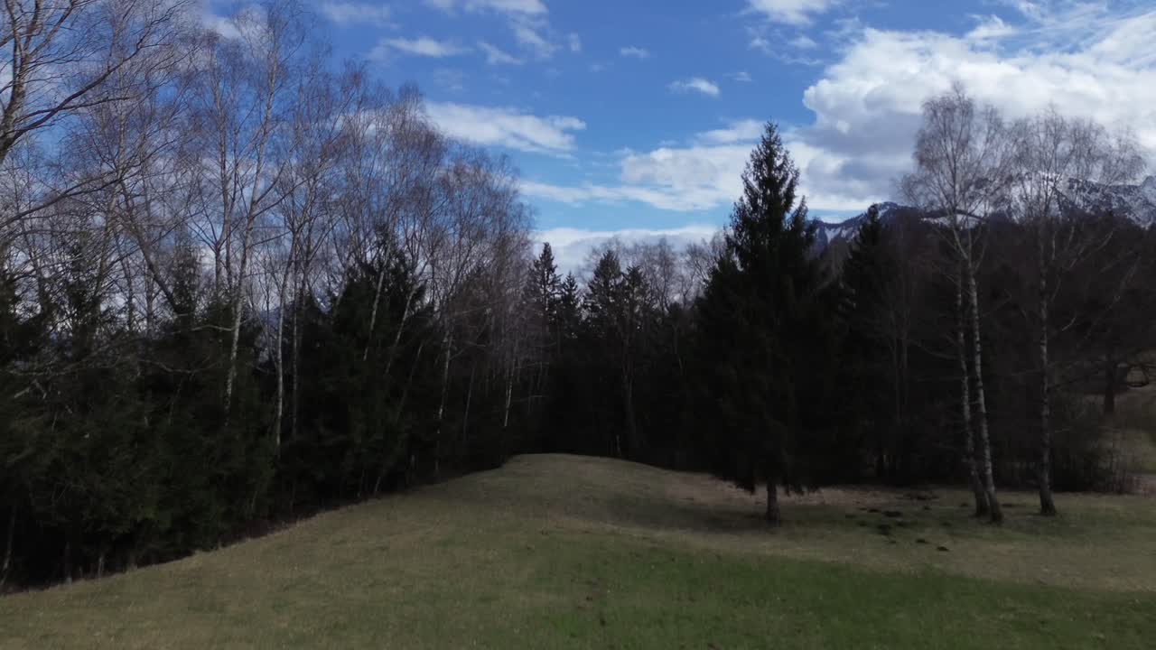 Drone fly above Forest with Snow Covered Mountain Summit Landscape in Background.Vorarlberg, Austria
