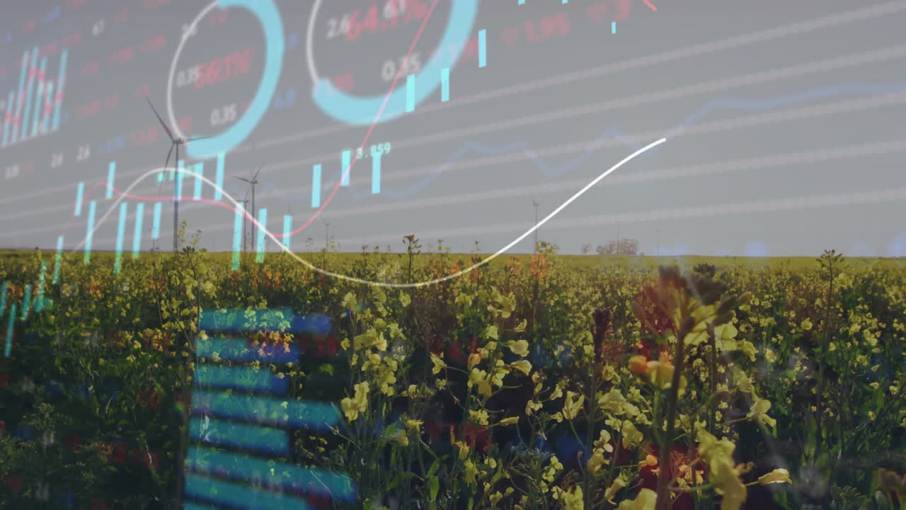Overlaying financial data graphs, blooming flowers and greenery in nature scene