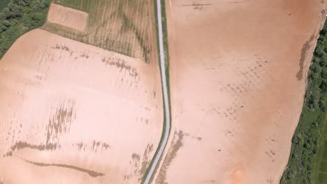 un camino entre campos sembrados de cultivos agrícolas