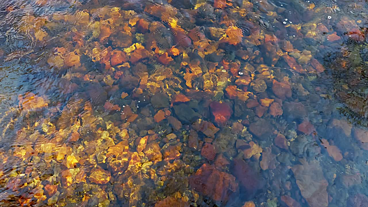 el suelo rocoso del arroyo visible debajo de la corriente cristalina de agua dulce en el sol de la tarde de primavera
