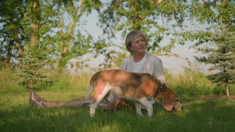 woman sitting on grassy field with her dog sniffing ground beside her, looking thoughtfully into distance, surrounded by lush greenery and trees under warm sunlight