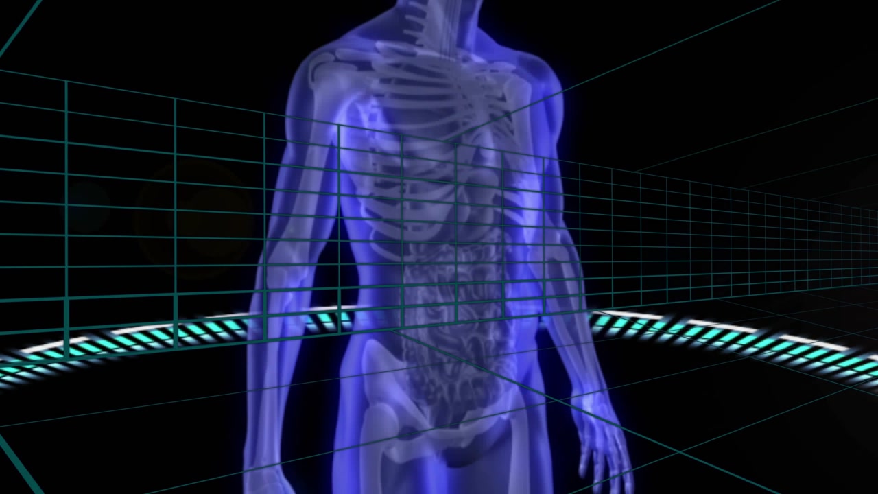 Ring pulsing anatomy hologram forming rising, camera orbiting revealing bones, organs for study