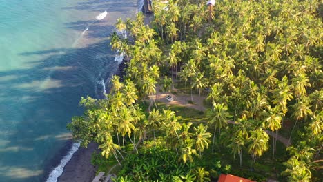 Luftdrohne-Kreist-An-Einem-Tropischen,-Sonnigen-Tag-Entlang-Des-Türkisfarbenen-Wassers-Und-Des-Schwarzen-Sandstrandes-Von-Bali,-Indonesien,-Mit-Einem-Wohnmobil-In-Einem-Feld-Aus-Kokospalmen