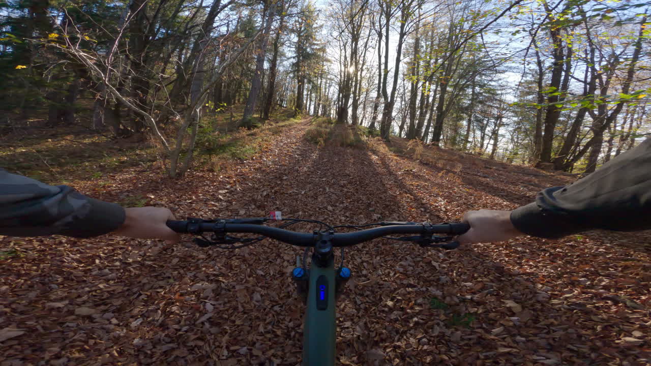 Autumn Mountain Bike Ride in the Woods