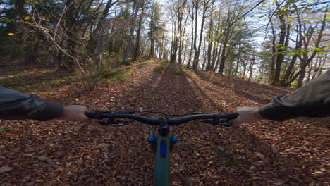 autumn mountain bike ride in the woods