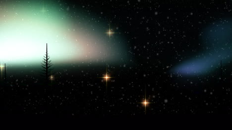 animation of fir trees over stars