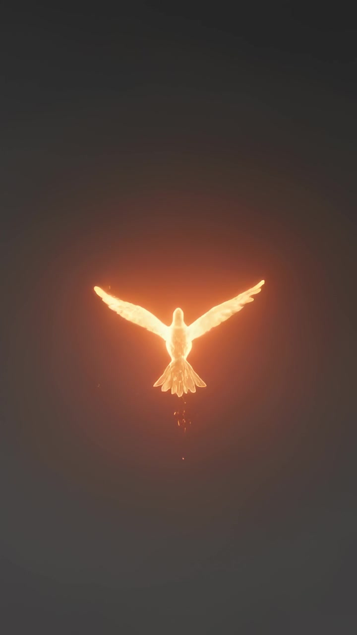 Vertical video: Orange glow sparking fiery bird flaring, shedding embers, forming halo in dark void