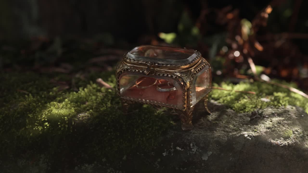 small antique ring box with wedding bands sits on mossy stone in soft forest light