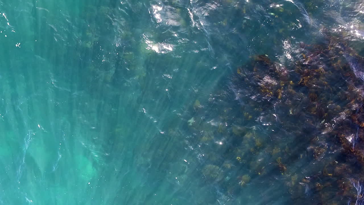 toma aérea mirando directamente hacia la costa del océano, mostrando olas y algas en movimiento, con la luz del sol brillando a través