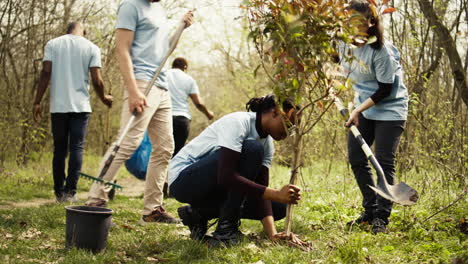 Diversos-Activistas-Del-Cambio-Climático-Trabajan-Para-Plantar-árboles-En-El-Bosque.