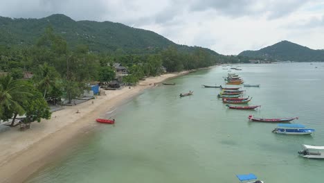 beach with boats