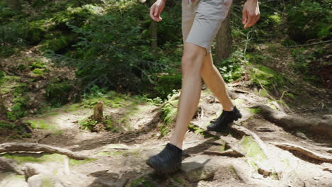 the legs of the tourist's man go along the forest trail along the roots and stones adventure and act