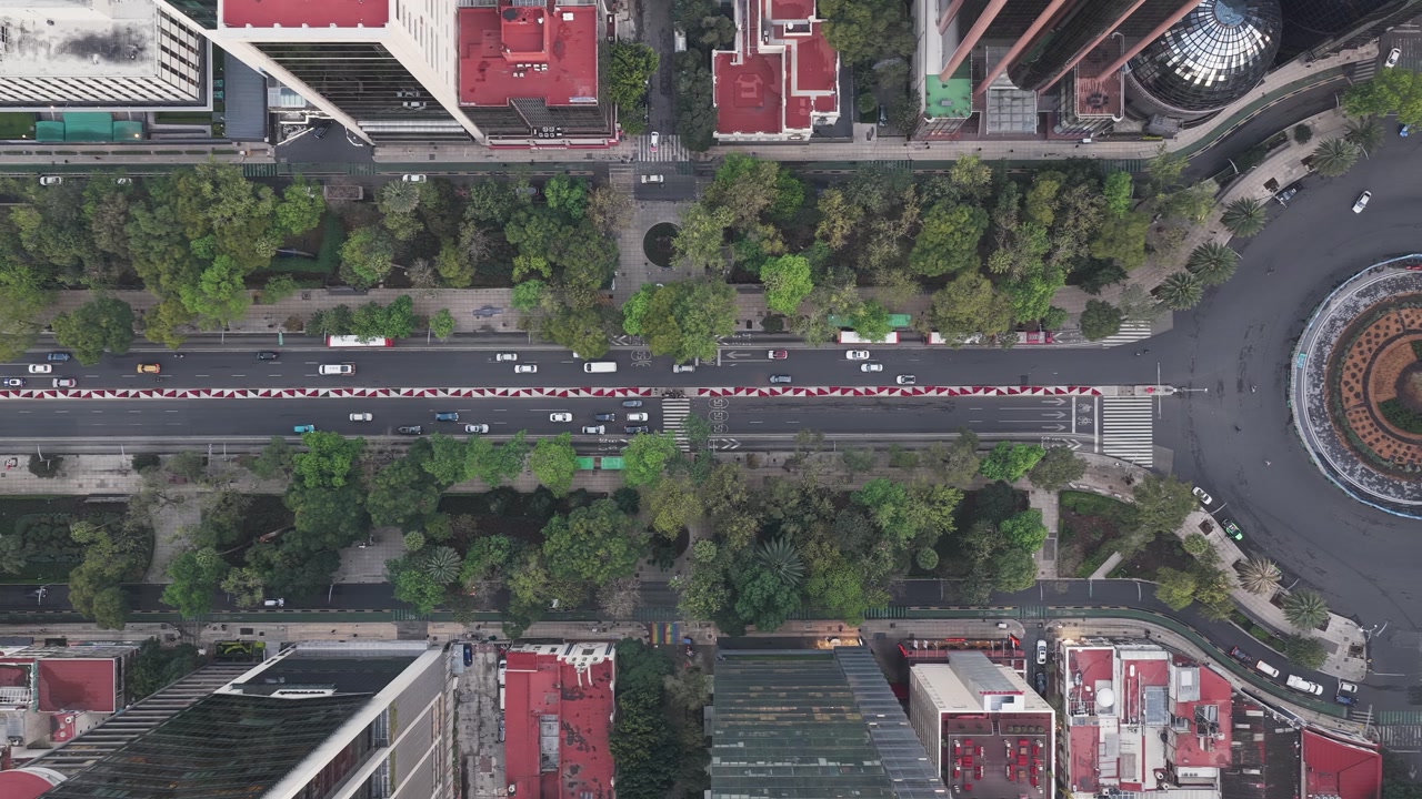Top-down drone view of roundabout and traffic flow on a major avenue with surrounding buildings and green areas. Urban scene in Mexico City.