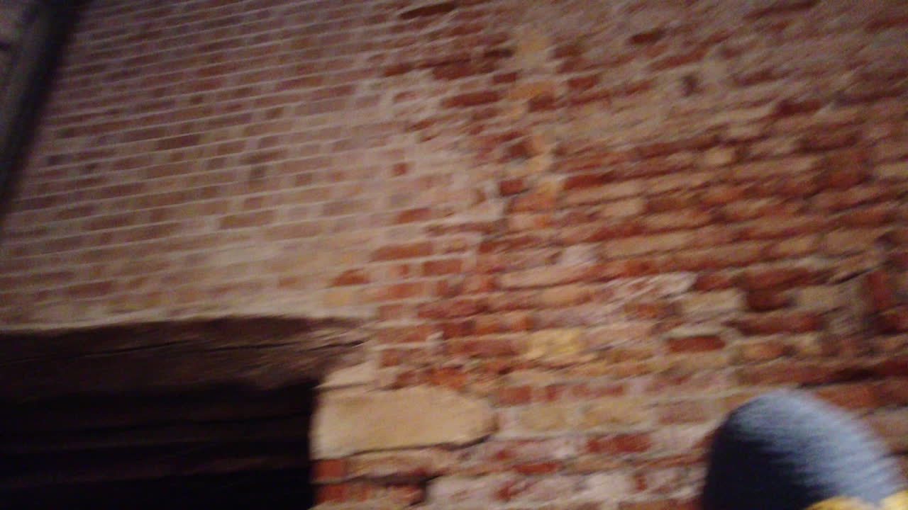 베니스, 비엔날레 2022, whool로 만든 조각, 설치, 4k, 59-1