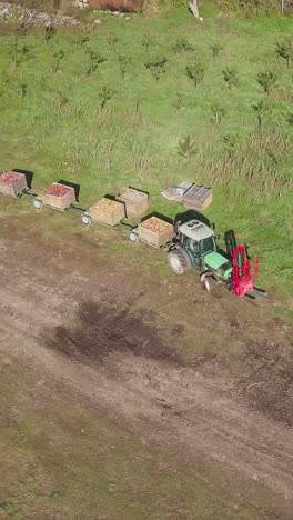apple farmland with tractor. tractor pulling containers full of apples at apple factory vertical video