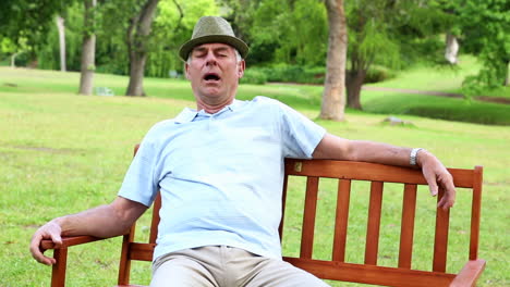 retired man dozing on a park bench