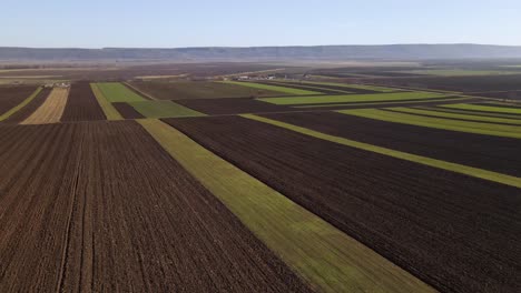 Vista-Aérea-De-Vastos-Campos-Agrícolas-En-El-Condado-De-Vrancea,-Rumania---Disparo-De-Drones