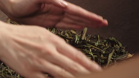 cerrar las manos de una mujer asiática revolviendo hojas de té verde en una sartén tradicional