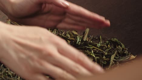 close up on asian woman hands stirring green tea leaves on traditional firing pan